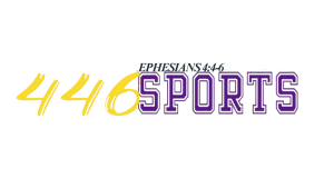 Sponsor Logo for 446 Sports