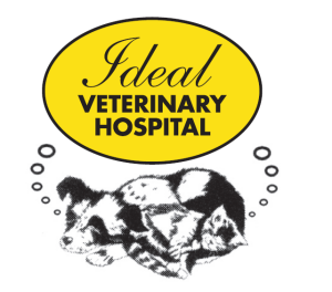 Sponsor Logo for Ideal Veterinary Hospital