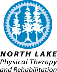 Sponsor Logo for North Lake Physical Therapy