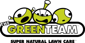Sponsor Logo for The Green Team