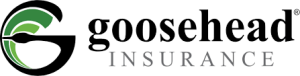 Sponsor Logo for Goosehead Insurance
