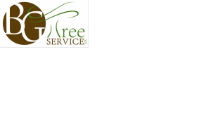 Sponsor Logo for BG Tree Service