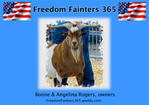 Sponsor Logo for Freedom Fainters