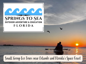 Sponsor Logo for Springs to Sea Old Florida Eco Tours, LLC