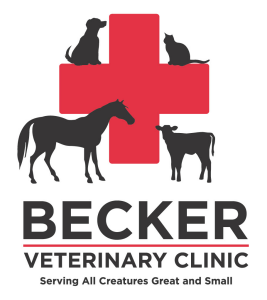 Sponsor Logo for .