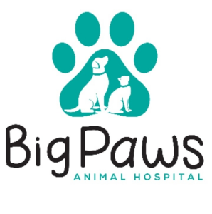 Sponsor Logo for Big Paws Animal Hospital