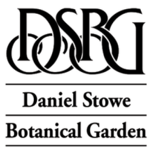 Sponsor Logo for DSBG