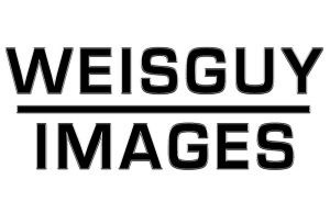 Sponsor Logo for Weisguy Images