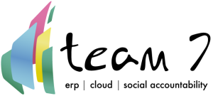 Sponsor Logo for Team 7 Consulting