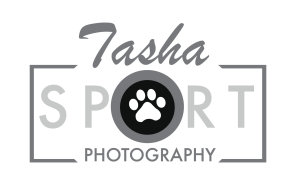 Sponsor Logo for Photo Sponsor
