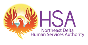 Sponsor Logo for HSA