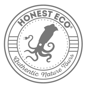 Sponsor Logo for Honest Eco Tours