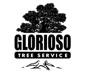 Sponsor Logo for Glorioso Tree Service