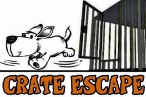 Sponsor Logo for Crate Escape