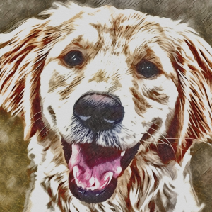 Sponsor Logo for Emma Beans Paw Balm