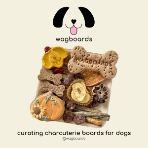 Sponsor Logo for Wagboards