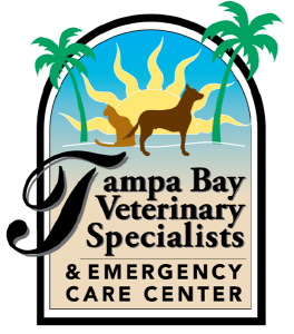 Sponsor Logo for Tampa Bay Veterinary Specialists and ER  