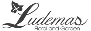 Sponsor Logo for Ludemas