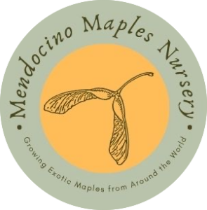 Sponsor Logo for Mendocino Maples Nursery