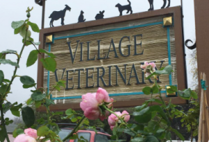 Sponsor Logo for Village Veterinary