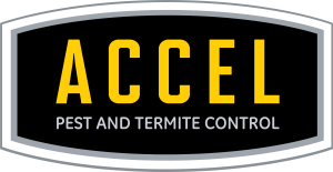 Sponsor Logo for Accel Pest and Termite Control