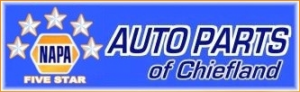Sponsor Logo for NAPA AUTO PARTS