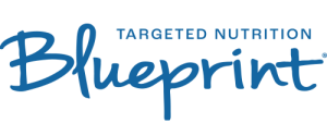 Sponsor Logo for Blueprint