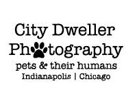 Sponsor Logo for City Dweller Photography