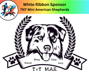 Sponsor Logo for TNT MAS