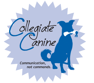 Sponsor Logo for Collegiate Canine