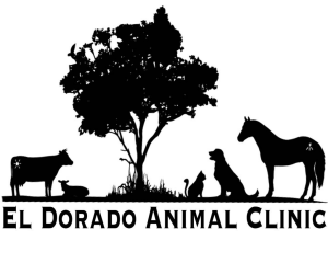 Sponsor Logo for El Dorado Animal Clinic