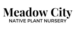 Sponsor Logo for Meadow City Nursery