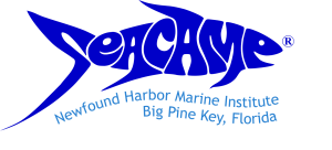 Sponsor Logo for SeaCamp