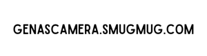 Sponsor Logo for Genas Camera