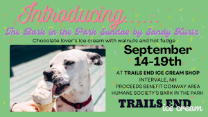 Sponsor Logo for Trails End Ice Cream