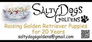 Sponsor Logo for Salty Dogs Goldens