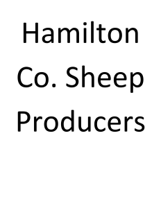 Sponsor Logo for Diamond Level Sponsor:  Hamilton Co. Sheep Producers