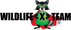 Sponsor Logo for Wildlife X Team