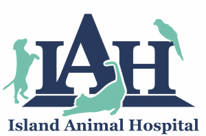 Sponsor Logo for Island Animal Hospital