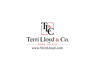 Sponsor Logo for Terri Lloyd & Co