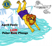 Blue Point Lions Club Polar Plunge