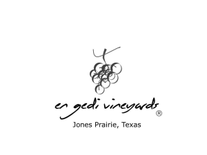 Sponsor Logo for En Gedi Vineyards