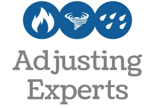 Sponsor Logo for Adjusting Experts