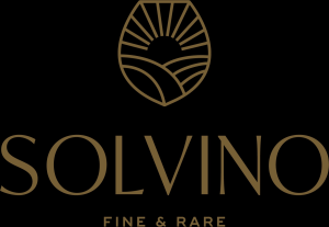 Sponsor Logo for Solvino