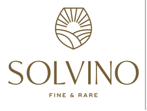 Sponsor Logo for Solvino