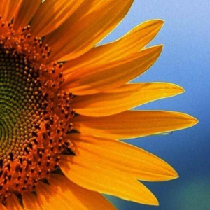 Sponsor Logo for Brent & Peggy Sutherland