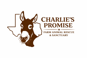 Sponsor Logo for Charlie's Promise Farm Animal Rescue & Sanctuary