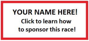 Sponsor Logo for Future Sponsor