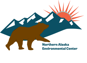Sponsor Logo for NAEC logo