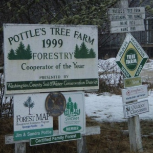 Logo for Andy and Debra Pottle - Pottle Tree Farm